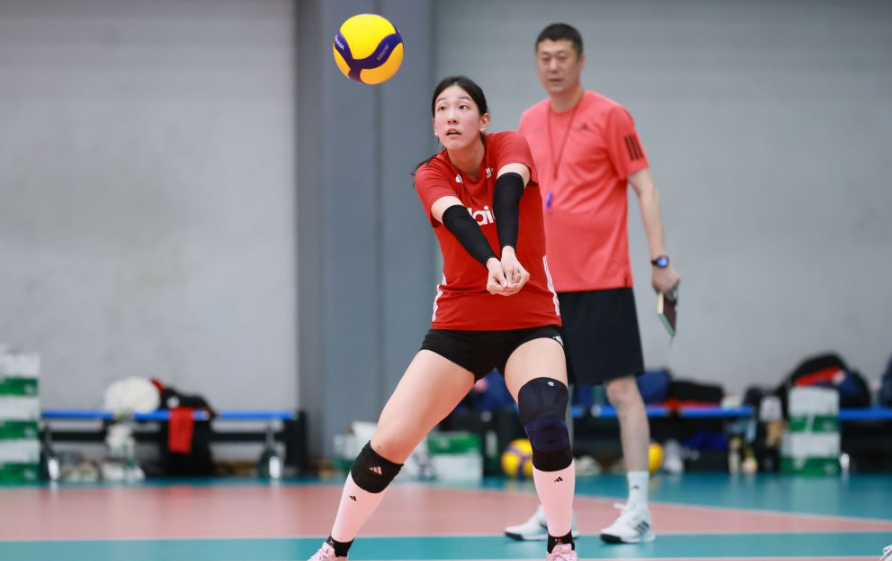 乐鱼体育网页适合新手用户的全面教程
